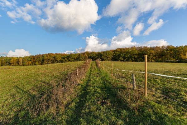 Gut Sarnow (Schorfheide)